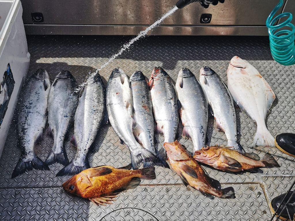 Fishing at Foggy Point